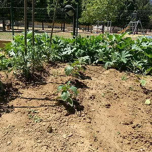  Appartamento Casa Del Giardino Bright